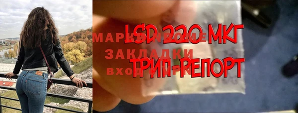 ПСИЛОЦИБИНОВЫЕ ГРИБЫ Нязепетровск