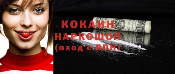 индика Алексин