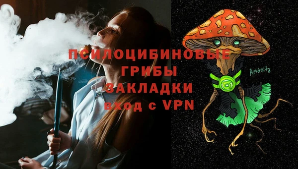 индика Алексин