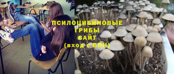 прущие крисы Алексеевка