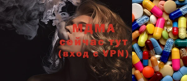 индика Алексин