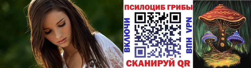 Галлюциногенные грибы GOLDEN TEACHER  Апшеронск 
